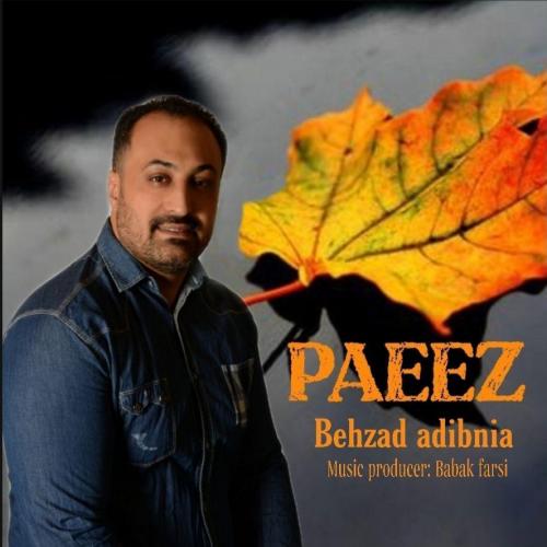 دانلود آهنگ پاییز بهزاد ادیب نیا